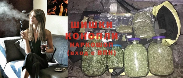 стаф Пересвет