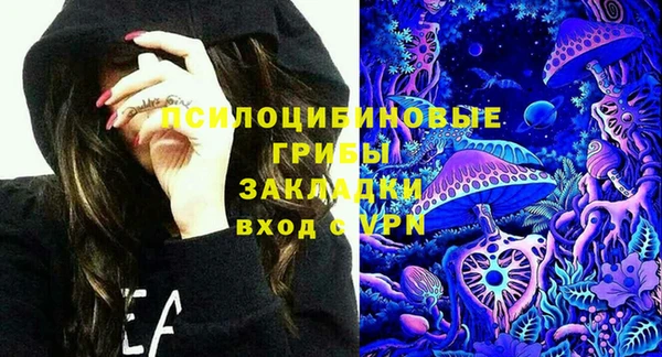 бошки Переславль-Залесский