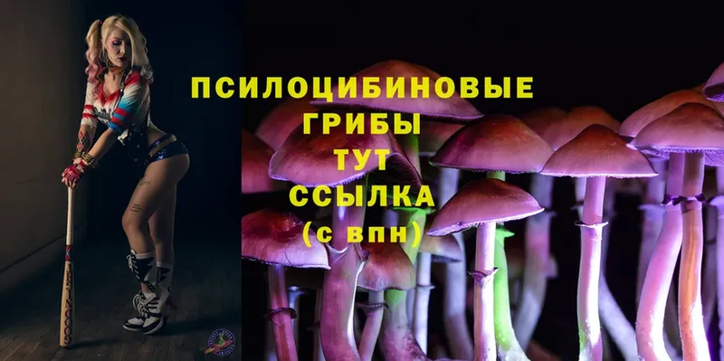 Псилоцибиновые грибы MAGIC MUSHROOMS  Бодайбо 